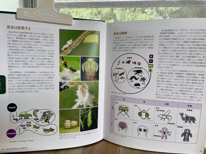 konchumaniac_zuroku4